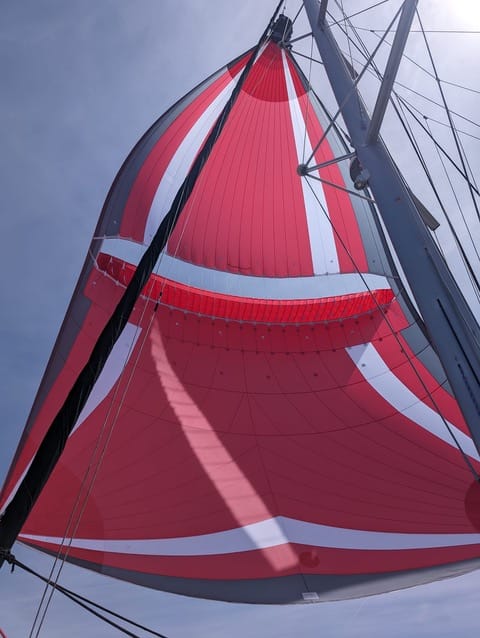 LAGOON 450F VAT PAID 2019 - Image 18